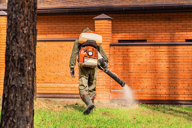Trusted Cockroach Control service in Waveland, MS - Nex Pest Control